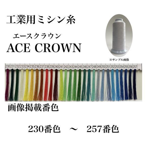 大貫繊維　工業用ミシン糸　エースクラウン#50/3000m　254番色　1セット（3000m巻×6本...