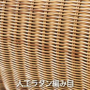 タカショー Brcos ブルコス シングルソフ...の詳細画像1