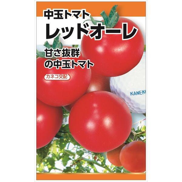 ニチノウのタネ カネコ交配 レッドオーレ（トマト） 日本農産種苗 4960599145505 1セッ...