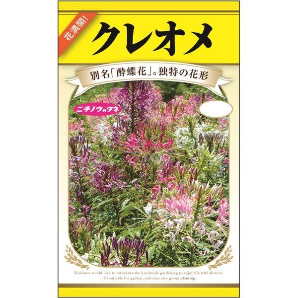 ニチノウのタネ　日本農産種苗 クレオメ 4960599322586 1セット（5袋入）（直送品）