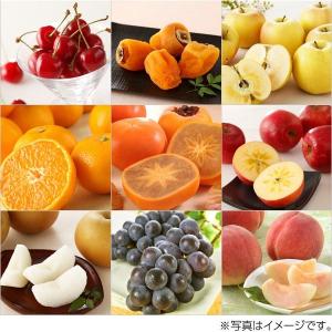 伊藤忠食品 選べるフルーツギフトカード(ピンク...の詳細画像1