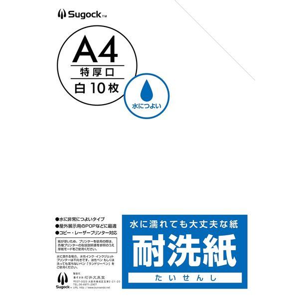 【クリーニング用品】石井文泉堂　耐洗紙　A4サイズ　白（無地） 1セット(50枚入)（直送品）