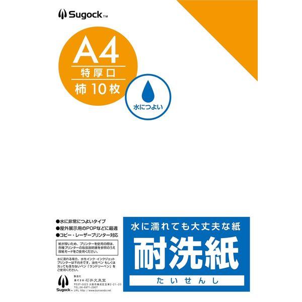 【クリーニング用品】石井文泉堂　耐洗紙　A4サイズ　柿色（無地） 1セット(50枚入)（直送品）