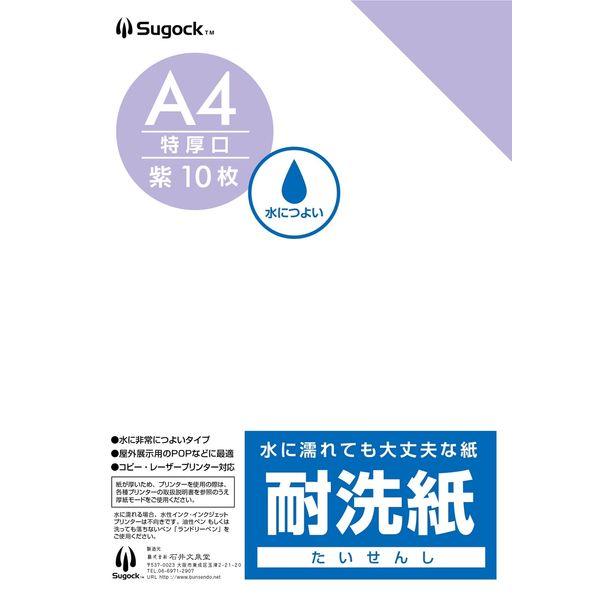 【クリーニング用品】石井文泉堂　耐洗紙　A4サイズ　紫色（無地） 1セット(50枚入)（直送品）