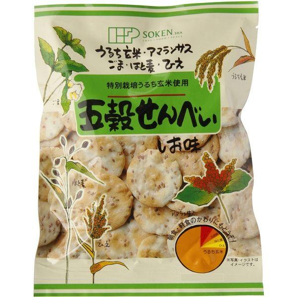 創健社 五穀せんべい　しお味 90g 160434　1セット（90g×20）（直送品）