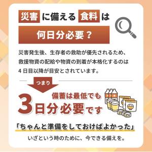 5年保存 非常食セット 1人用 3日分 (9食...の詳細画像1
