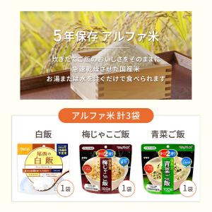5年保存 非常食セット 1人用 3日分 (9食...の詳細画像2