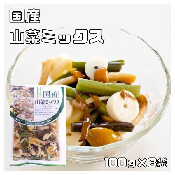 北海道物産興社　山菜ミックス水煮 100ｇ×3袋 国産（丸中食品）　21999　1セット（3袋）（直...