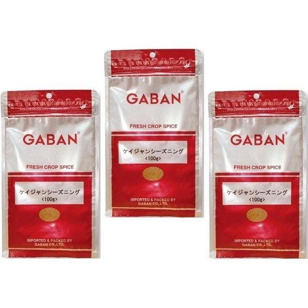 GABAN　スパイス ケイジャンシーズニング （袋）　100ｇ×3袋 【ミックススパイス　ハウス食品...