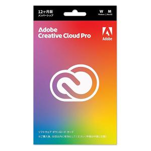 Adobe Creative Cloud Pro 12ヵ月 POSA版 CREATVCLDS211Y 1個（直送品）