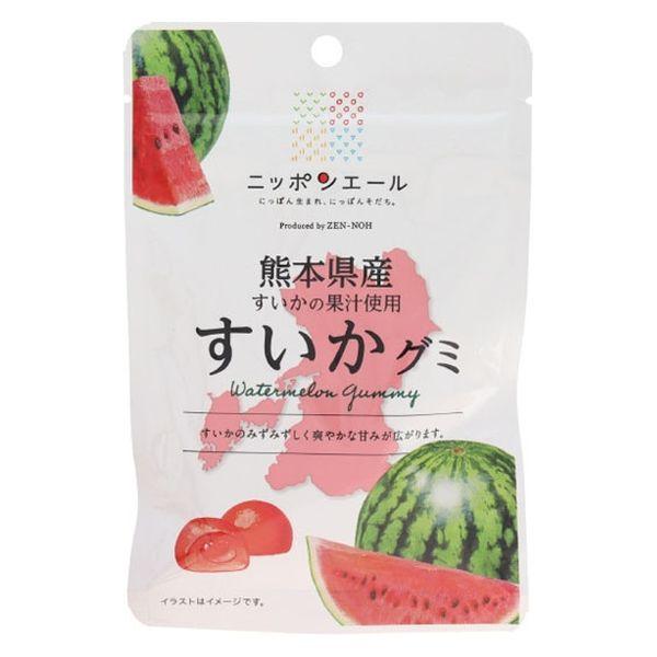 全国農協食品 熊本県産すいかグミ 4908012001199 40g×20個（直送品）