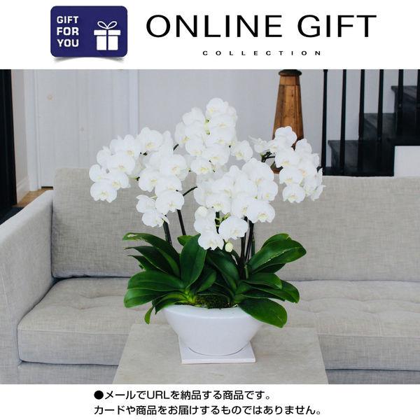 AoyamaLab オンラインギフト　URLですぐ納品　デジタルギフト　ミディ胡蝶蘭白平鉢(8号鉢5...