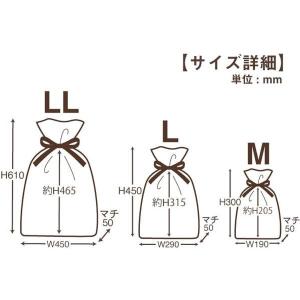 包む シンテックス巾着BAG Mサイズ マチ付...の詳細画像1