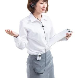 サンワダイレクト ワイヤレスガイド システム(...の詳細画像3