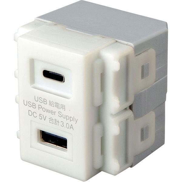 サンワサプライ 埋込USB給電用コンセント　(TYPEC搭載) TAP-KJUSB1C1W 1個（直...
