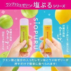 井村屋 塩ぷるレモン・ウメ アソート 750g...の詳細画像4
