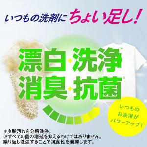 ワイドハイターEXパワー 詰め替え 業務用 4...の詳細画像3