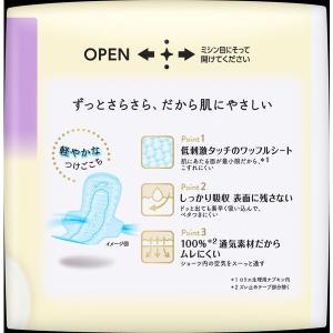 ナプキン 特に多い昼用 羽つき 25cm ロリ...の詳細画像1