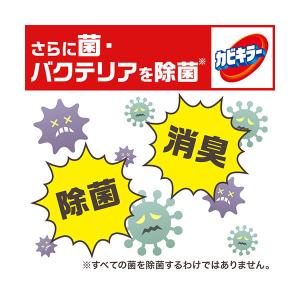 カビキラー カビ取り 本体 400g 1個 カ...の詳細画像5