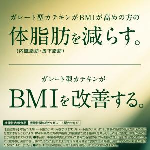 【機能性表示食品】伊藤園 おーいお茶 濃い茶 ...の詳細画像3
