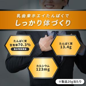 ホエイプロテイン パワープロダクション マック...の詳細画像2