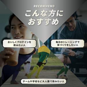 ホエイプロテイン パワープロダクション マック...の詳細画像4