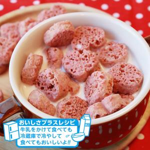 チョコレート菓子 しっとりいちご 70g 1セ...の詳細画像4