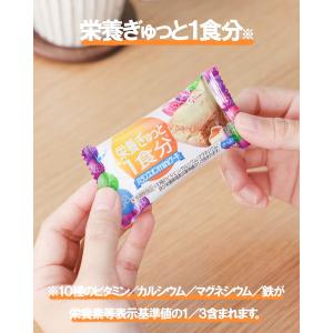 バランスオンminiケーキ チーズケーキ 1箱...の詳細画像4
