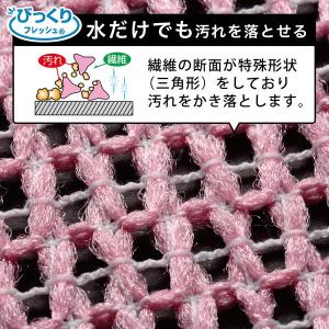 びっくりフレッシュ キッチンピカイチ 食器洗い...の詳細画像2