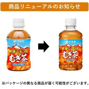 伊藤園 健康ミネラルむぎ茶 280ml 1箱(...の詳細画像2