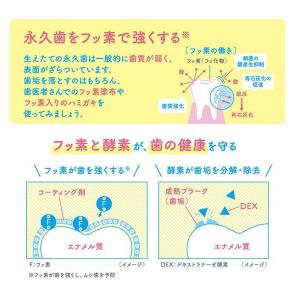 歯磨き粉 子供用 クリニカKids ハミガキ ...の詳細画像3