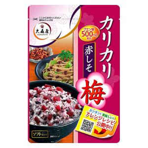 大森屋 カリカリ梅赤しそ 40ｇ 1個
