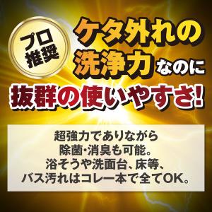 ウルトラハードクリーナー バス用 本体 700...の詳細画像3