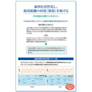 歯磨き粉 歯科医院取扱品 コンクール リペリオ...の詳細画像4