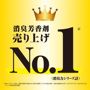 消臭力 玄関 リビング用 部屋用 無香料 40...の詳細画像2