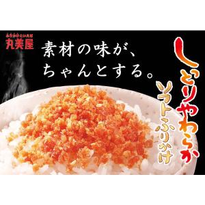 丸美屋 ソフトふりかけ さけ NP 28g 1...の詳細画像2