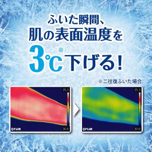 ビオレ 冷シート ボディシート 無香性 20枚...の詳細画像2