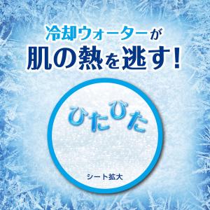 ビオレ 冷シート ボディシート 無香性 20枚...の詳細画像3