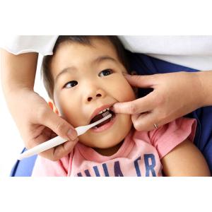 ピジョン ジェル状歯みがき ぷちキッズ キシリ...の詳細画像3