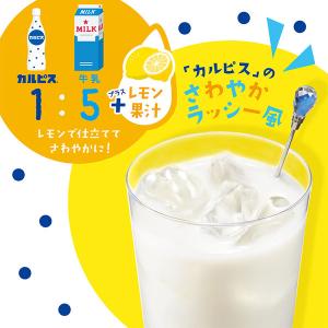 カルピス 「カルピス完熟巨峰」プラスチックボト...の詳細画像3