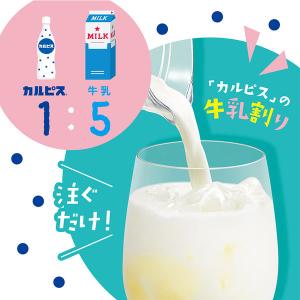 カルピス 「カルピス完熟巨峰」プラスチックボト...の詳細画像4