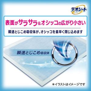 (セール)デオシート レギュラー ジャンボパッ...の詳細画像3