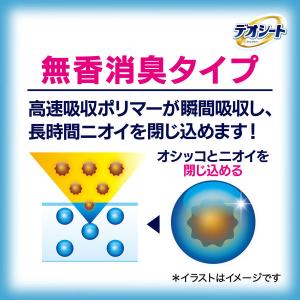 (セール)デオシート レギュラー ジャンボパッ...の詳細画像4