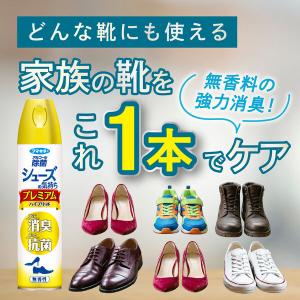 シューズの気持ち プレミアムハイブリッド 28...の詳細画像2