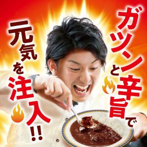 グリコ ビーフカレーLEE(リー)辛さ×10倍...の詳細画像5