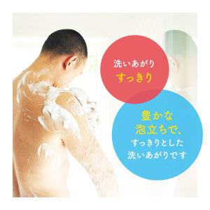 ミューズ 石鹸 レギュラー 95g 1パック(...の詳細画像3