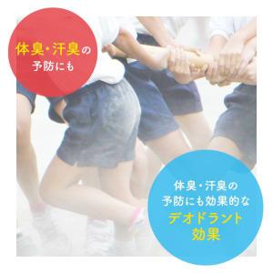 ミューズ 石鹸 レギュラー 95g 1パック(...の詳細画像4