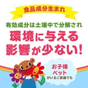 【除草剤】アース製薬 アースガーデン おうちの...の詳細画像2