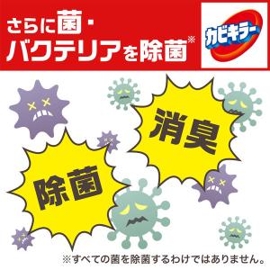 カビキラー カビ取り 特大 付け替え用 100...の詳細画像4
