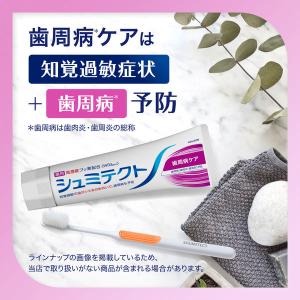 歯磨き粉 フッ素 シュミテクト 歯周病ケア 9...の詳細画像1